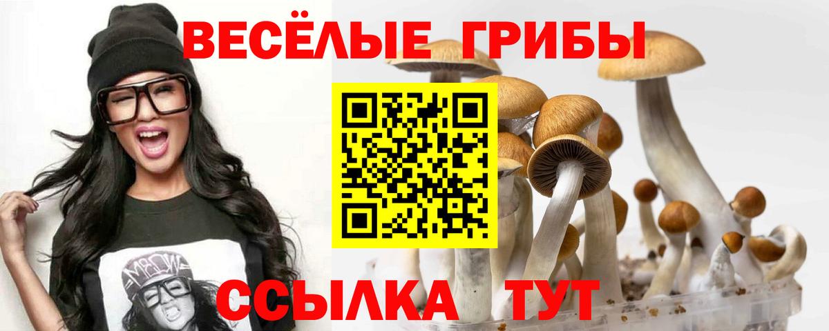 Галлюциногенные грибы мицелий Ноябрьск